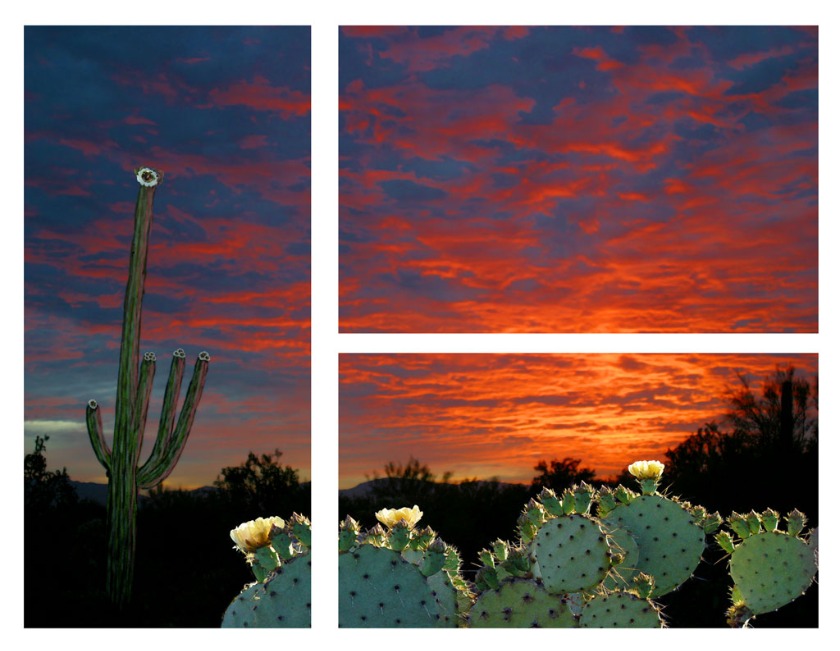 50" x 64" triptych in Expeditors office in Phoenix, Arizona