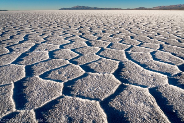 Salt flats in the Atacama desert , Argentina